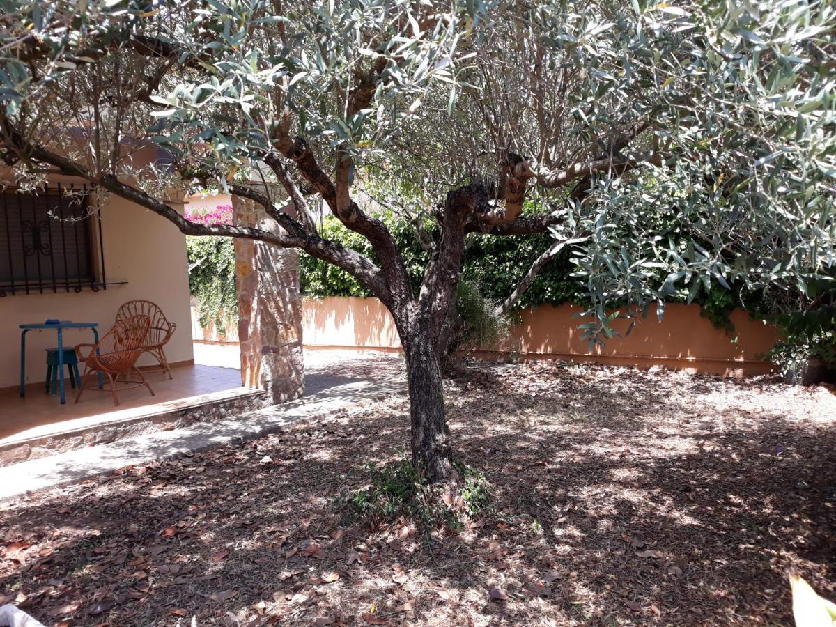 Villa Casa amb jardí a poble de l'Alt Empordà Vilaür  Exterior foto
